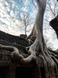 Angkor Wat – Sunrise Magic & Ancient Wonder 🌅🏰