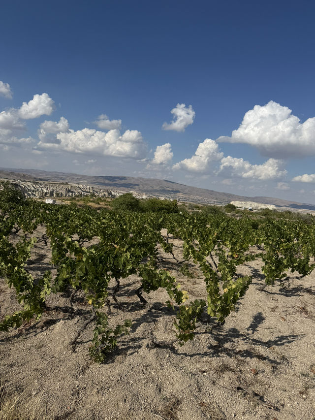Love valley 