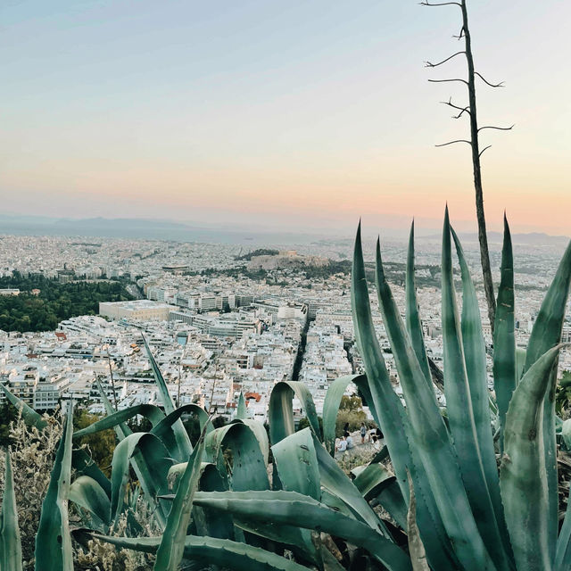 Athens on a Budget: Explore History & Local Life