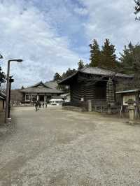 Nara’s Enchanting Shrines & Sacred Deer Encounters