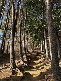 Japan Journey Review: Epic sights in Fujiyoshida 