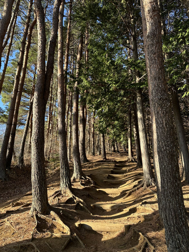 Japan Journey Review: Epic sights in Fujiyoshida 