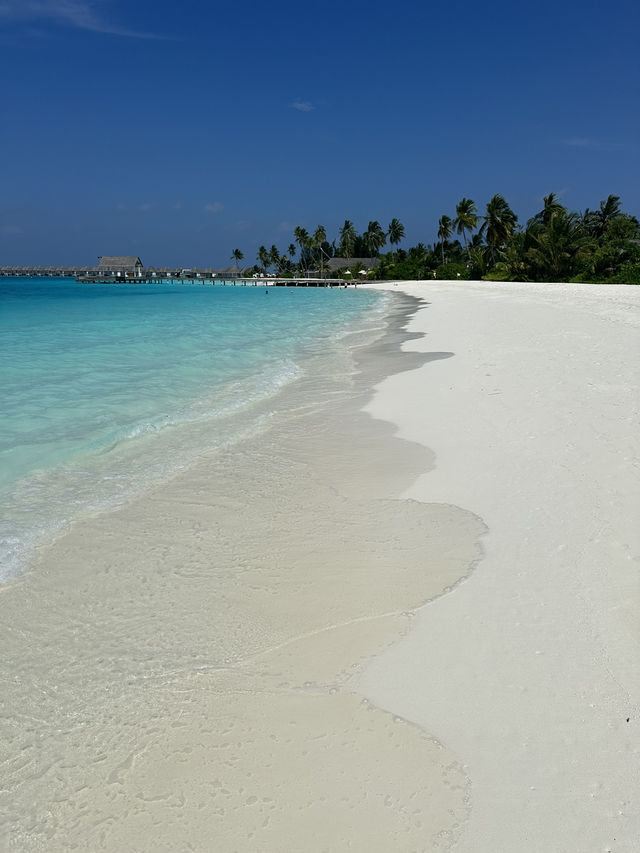  🌊 Sun Siyam Iru Veli: Adventure in the Heart of Paradise