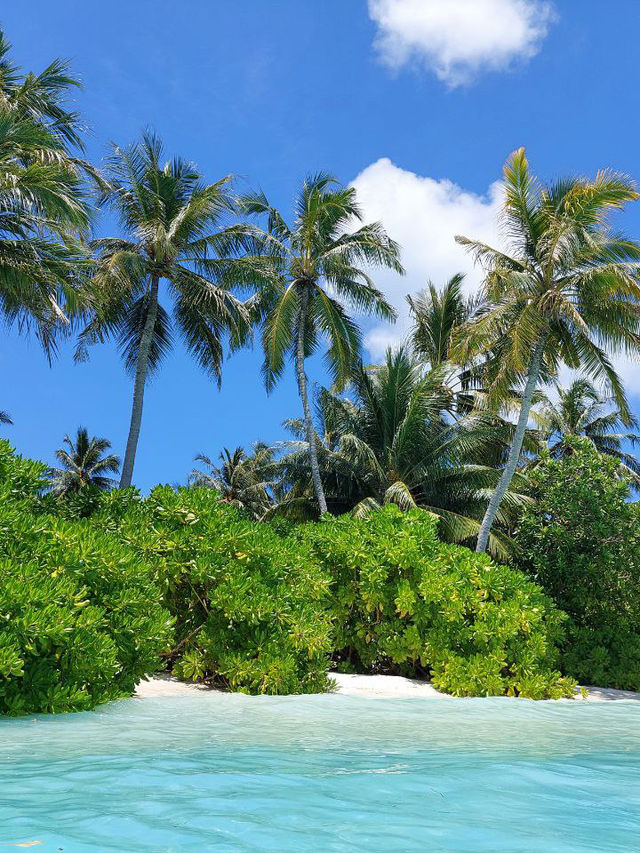 Maldives 🇲🇻 — Where Beauty Meets Opportunity Maldives 🇲🇻 — Where Beauty Meets Opportunity