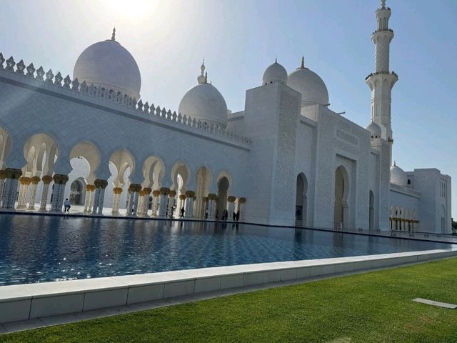 Modern Oasis Vibes🌴