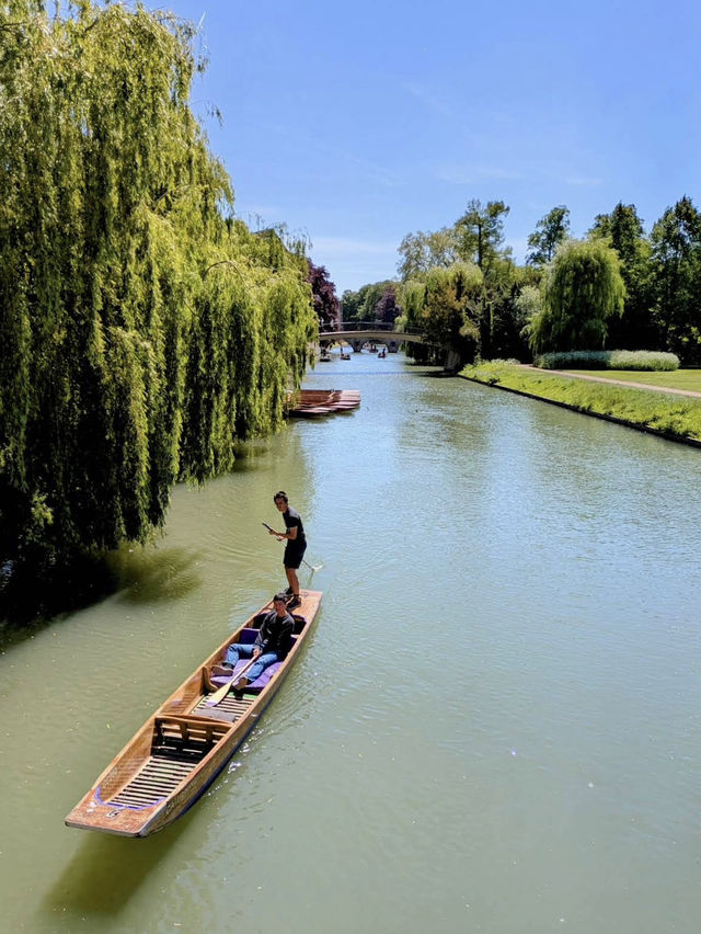 ✨ A gentle Cambridge moment by the River Cam 