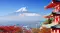 StephanieGreen234>