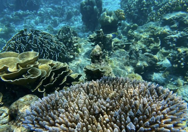 Similan Islands