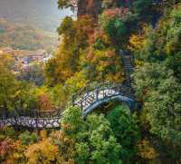 Chabuxi, where you can enjoy azalea flowers while taking a spring outing.