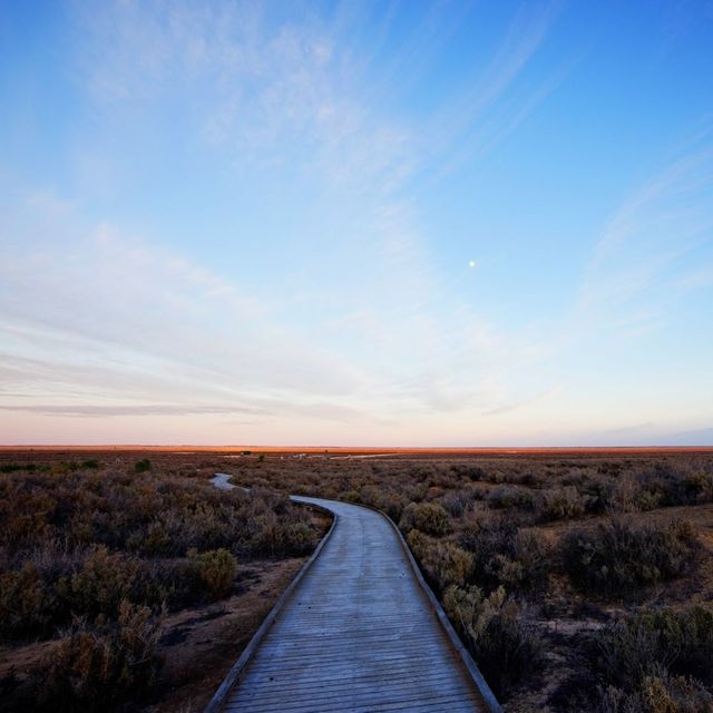 Go on a road trip in New South Wales