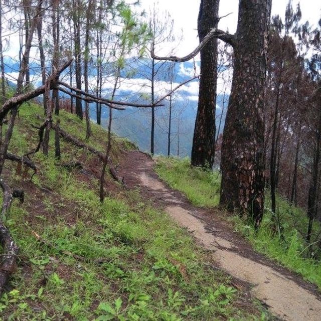  A Memorable Hike in Benguet 🇵🇭