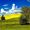 SunflowerMeadow551