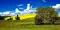 SunflowerMeadow551