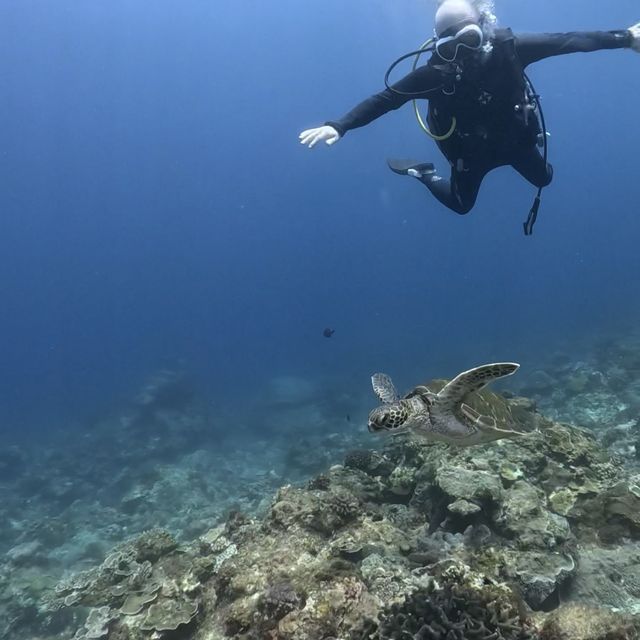 Down in the deep blue sea, my first Scuba