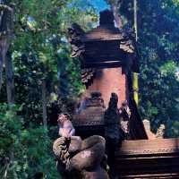 Bali's Cheeky Residents @Monkey Forest