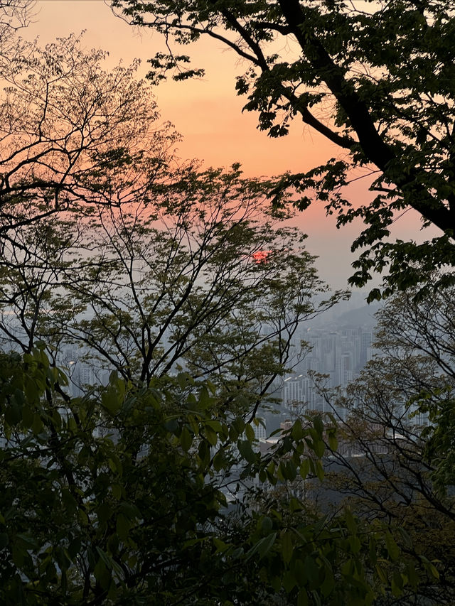 如何以最便捷的方式登上南山公園