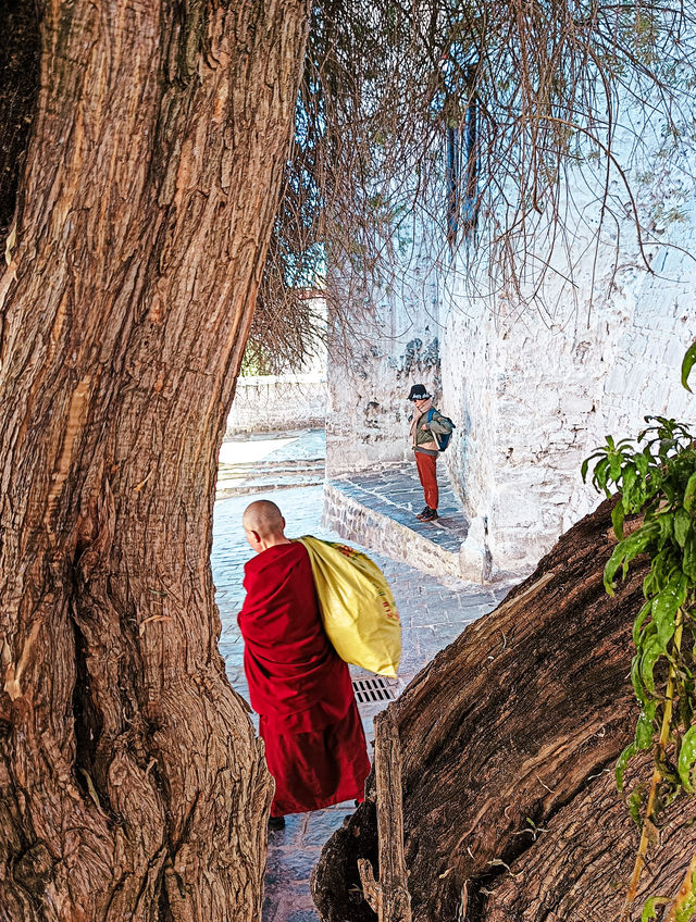 扎什倫布寺｜後藏的心臟｜炙熱、寂靜、威嚴