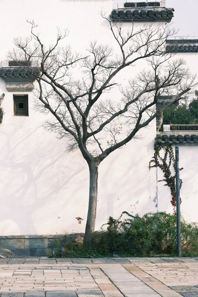 不是日本,真的真的是上海!! 不是日本,真的真的是上海!!