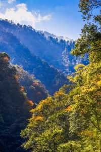 芦山的大深山裡的彩林秘境：大川河