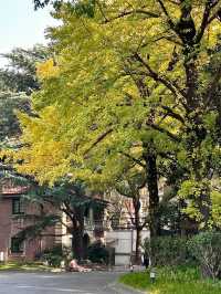 大隱隱於市：上海瑞金賓館