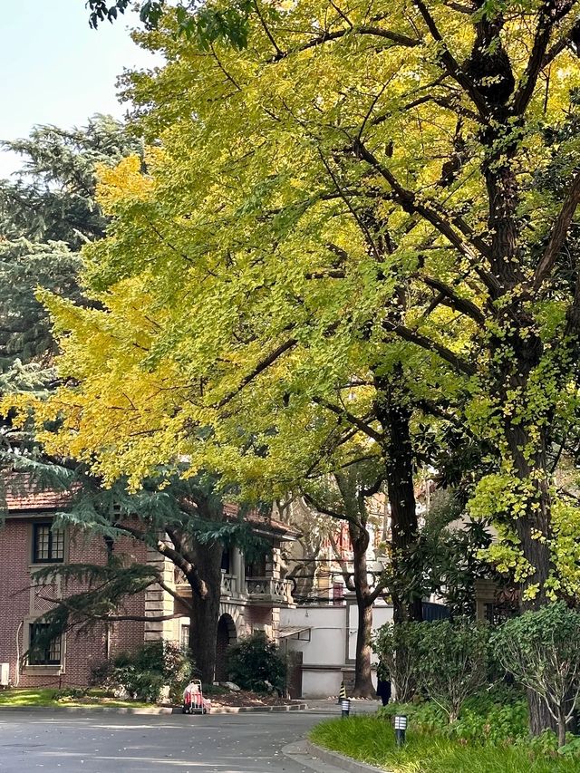大隱隱於市：上海瑞金賓館