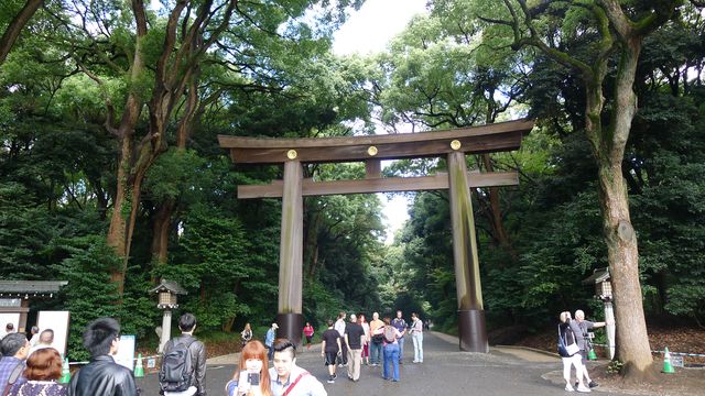 東京核心區最大的都市綠地——明治神宮