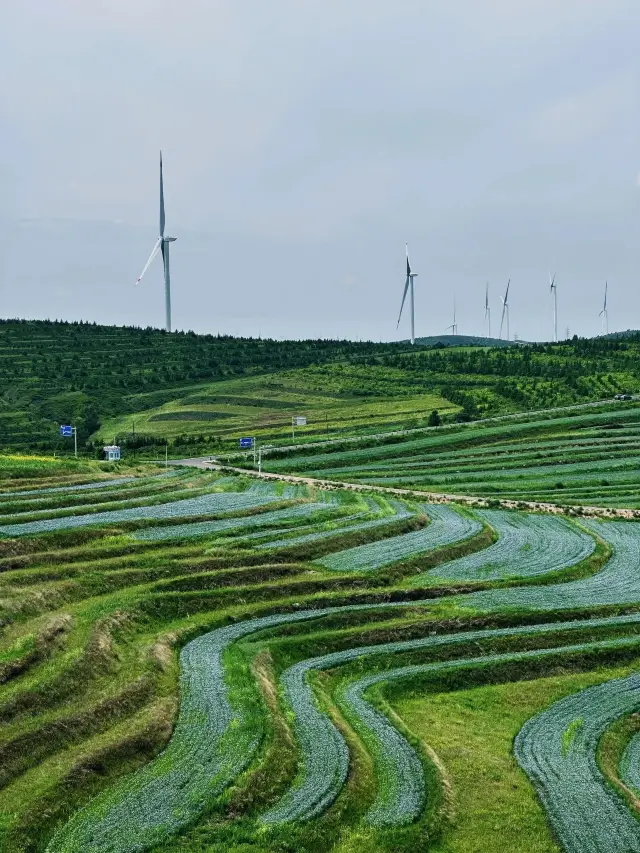 The Grassland Sky Road is definitely a must-drive route near Beijing!