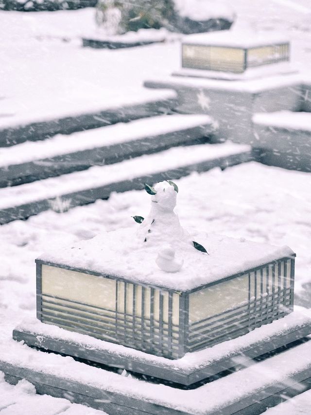 大雪後的淄博冰雪仙境大片！每一幀都是壁紙