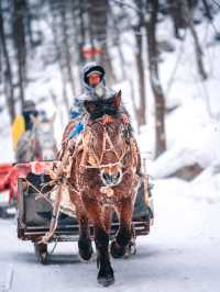 徒步穿越15公里的森林雪原才是雪鄉正確的開啟方式