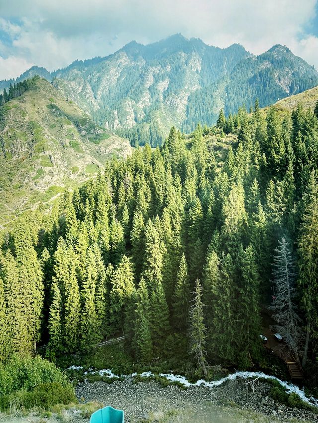 🇨🇳Lost in Tianchi Heavenly Park, Xinjiang!