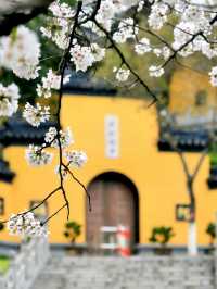 如果要寫雞鳴寺你就不能只寫雞鳴寺