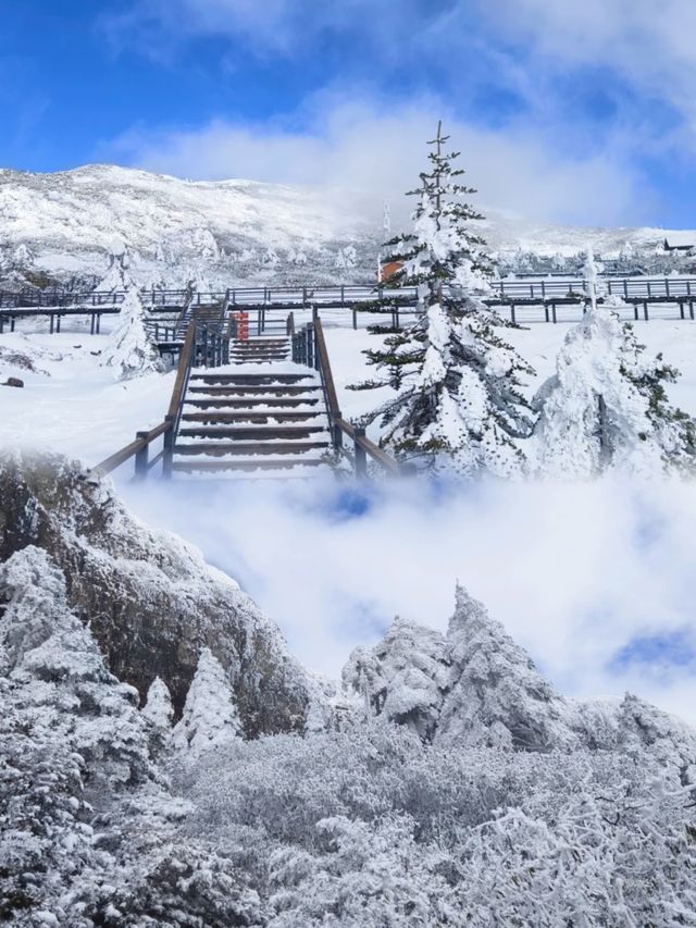 昆明橋子雪山真的太美啦!昆明轎子雪山