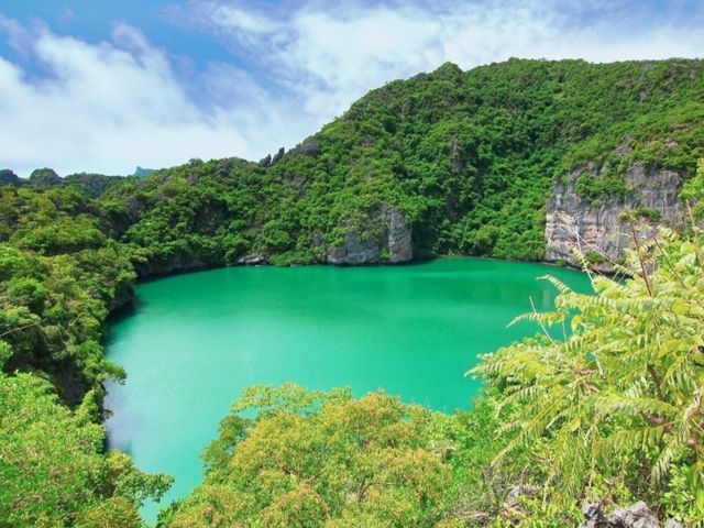 蘇梅島之旅：你敢來挑戰嗎？