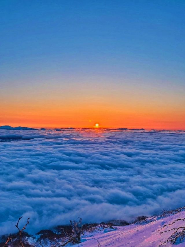 在北海道看見富士山？去北海道bi打卡寶藏地