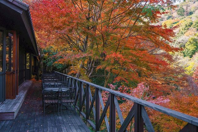 大阪周邊 | 天啊，紅葉季這家溫泉旅館竟然堪比琉璃光院！