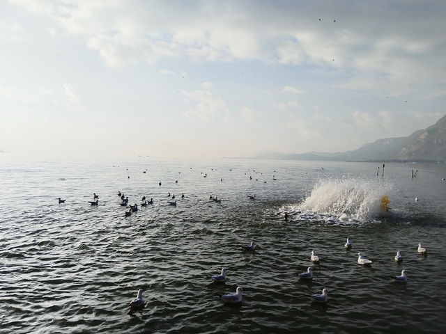 背包客貴陽雲南四日遊