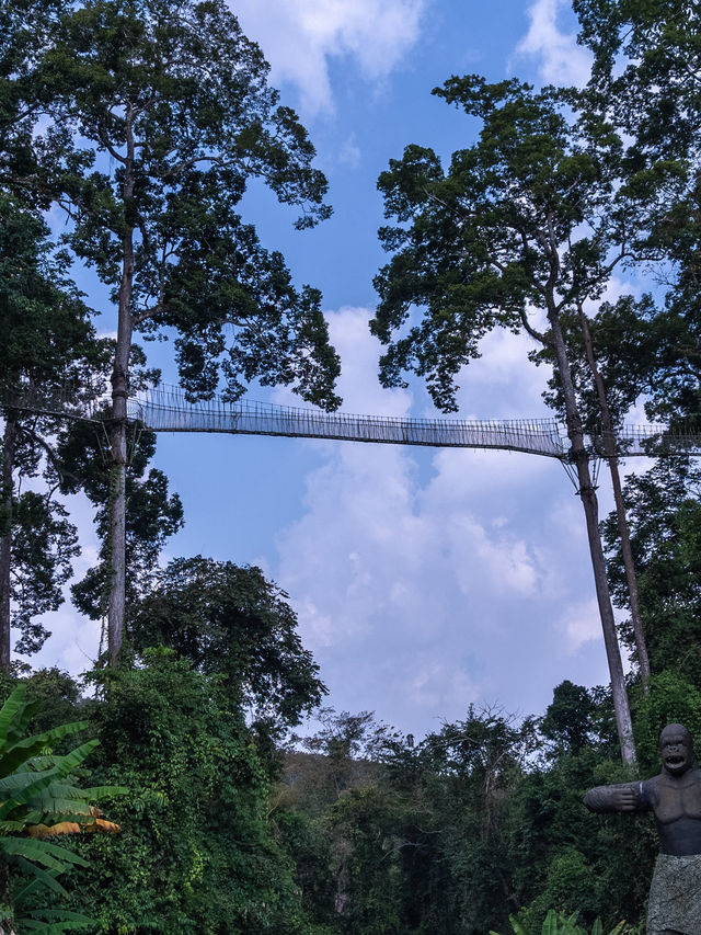 挑戰熱帶雨林探秘｜西雙版納望天樹景區一遊
