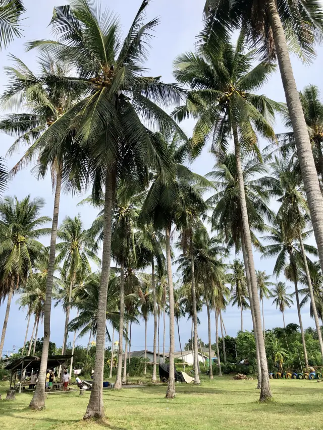 Koh Samui Yelin