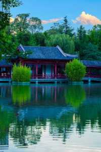 四川成都｜南郊公園｜逛城市中的桃花源