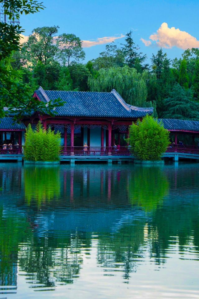 四川成都｜南郊公園｜逛城市中的桃花源