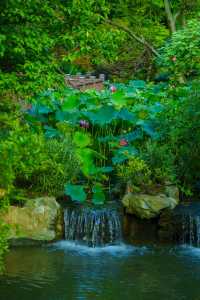 四川成都｜南郊公園｜逛城市中的桃花源