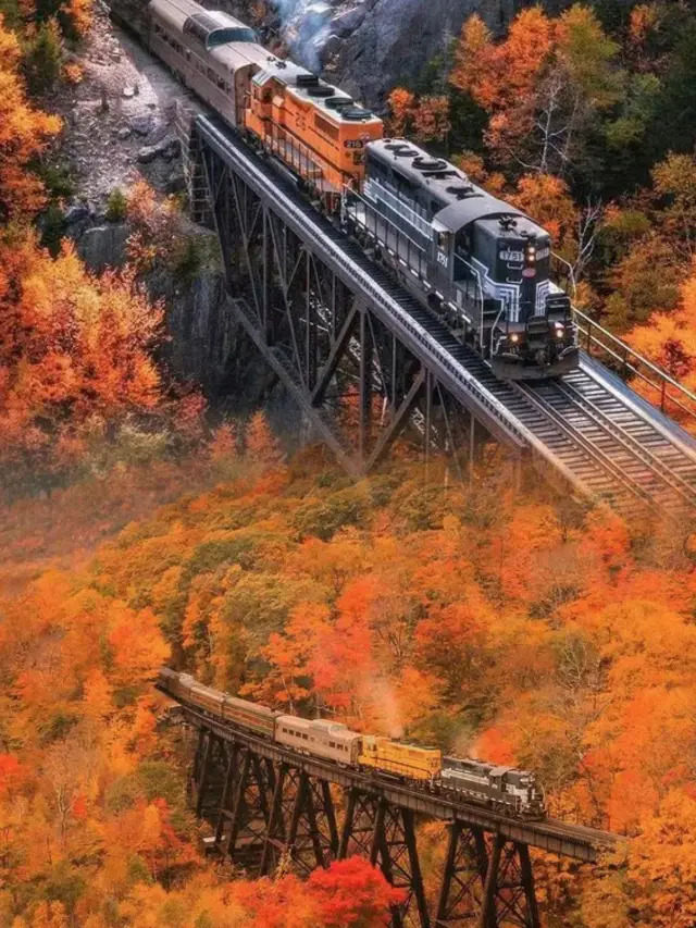 Go to the wilderness and make yourself an orange dream