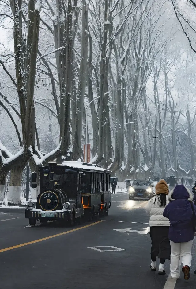 The winter of Wutong Avenue in Nanjing is very romantic