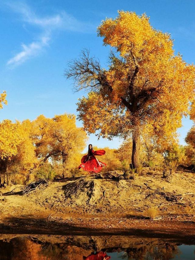 內蒙古額濟納旗胡楊林丨秋日最美視覺盛宴，沙漠英雄樹丨頑強意志