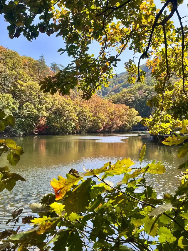 關門山賞楓好去處