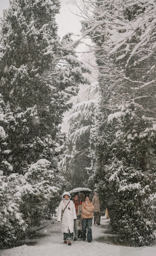 秦始皇陵大雪記