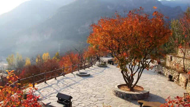 Autumn scenery of Pofengling: A dreamlike natural wonder