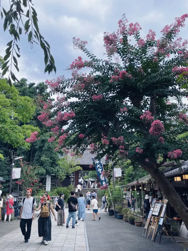 來東京不要再去淺草寺人擠人了，森大寺快衝