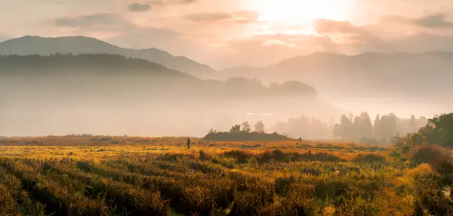 Dawn at Siming Lake