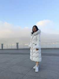 誰還沒有來昆明海埂大壩餵海鷗？